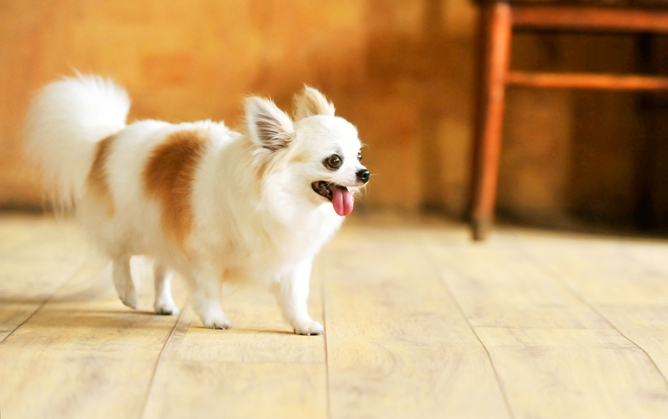 ゴシゴシ水洗いできて、お手入れカンタン！防水パッキングで水がしみこまずすぐに乾燥！