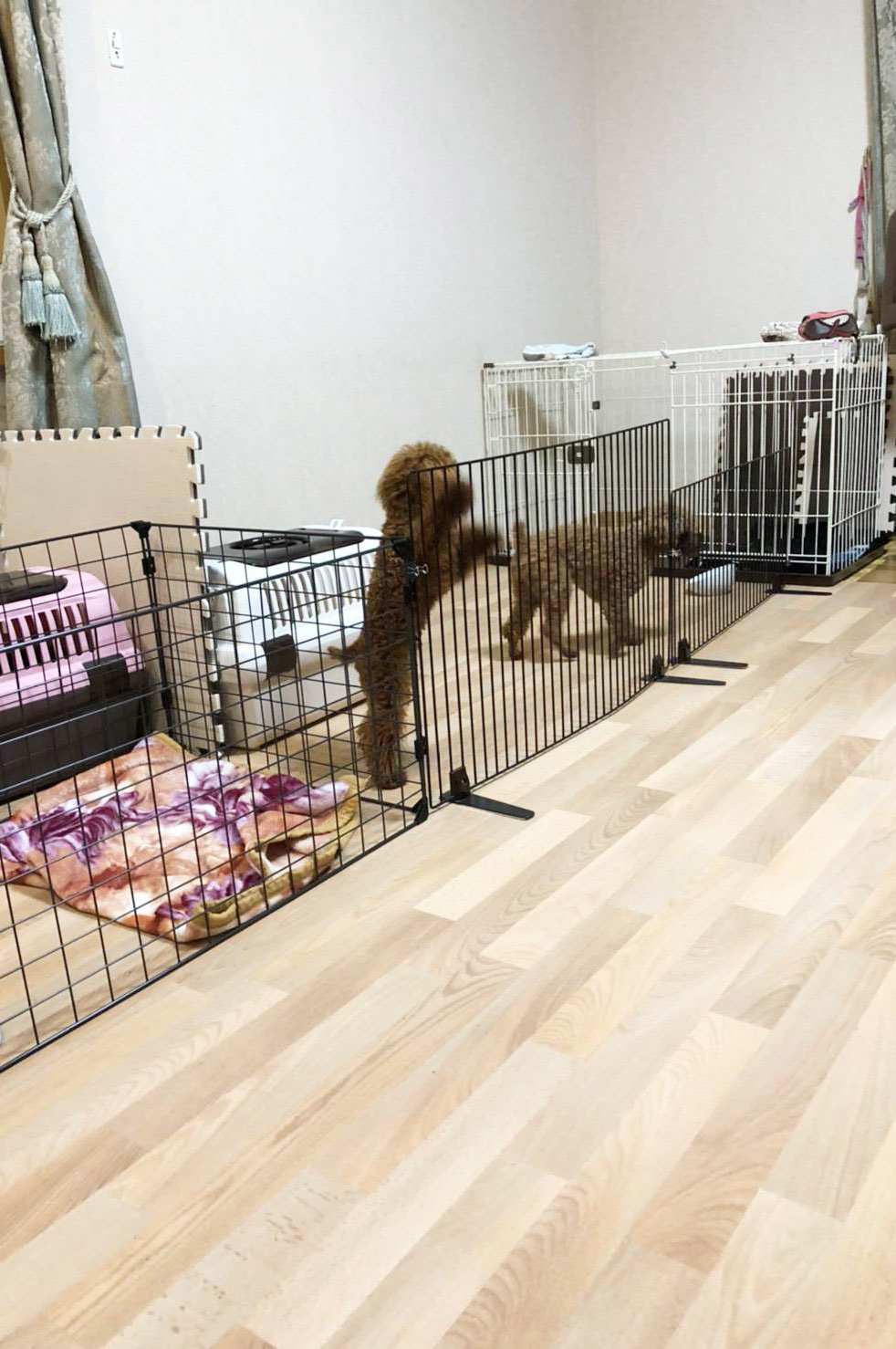 LOBOFLOR 施工事例