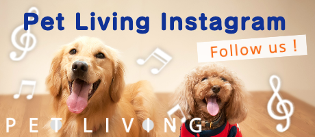 インスタグラム